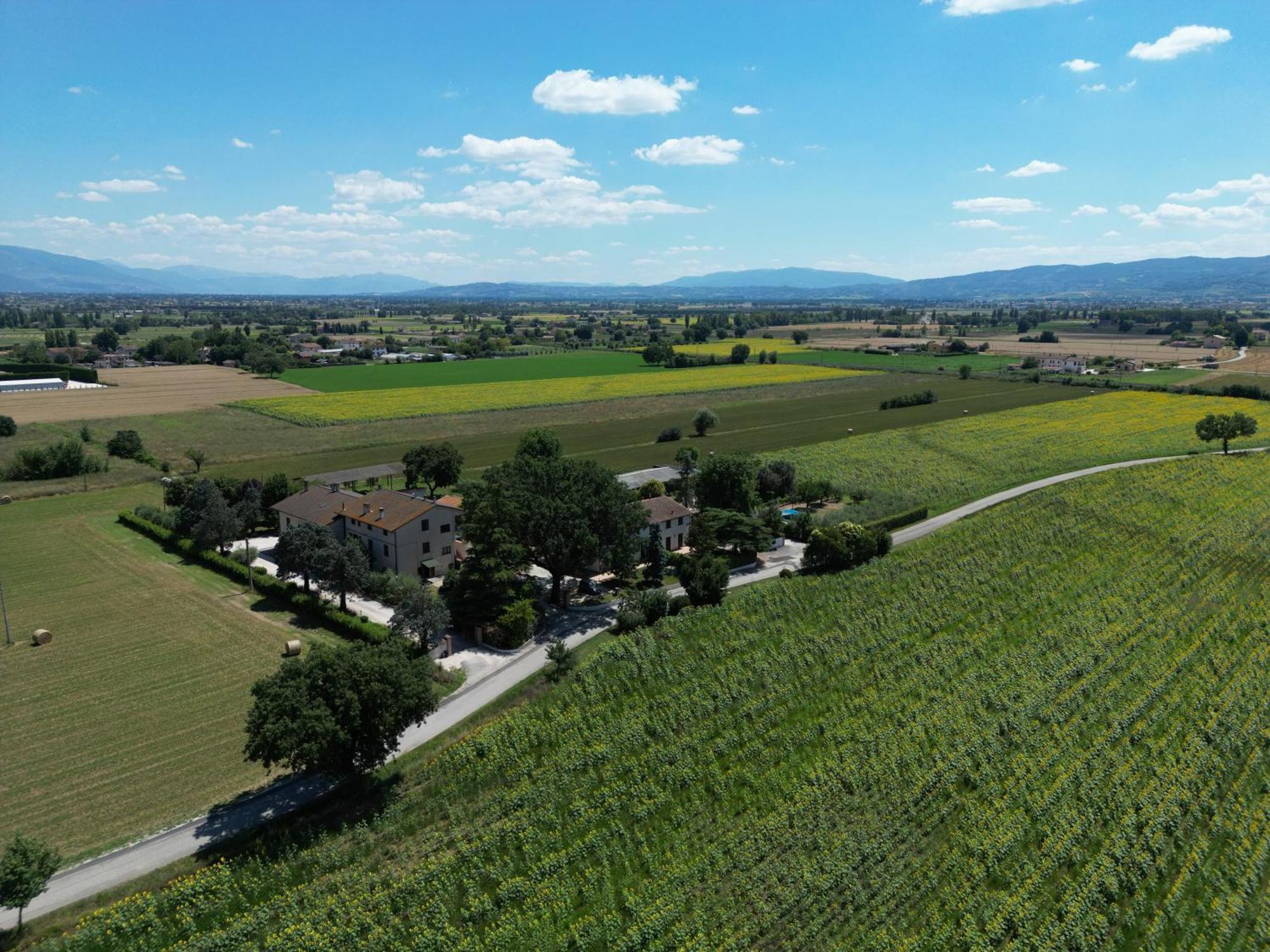 ريفيوتورتو Il Quercione Agriturismo المظهر الخارجي الصورة