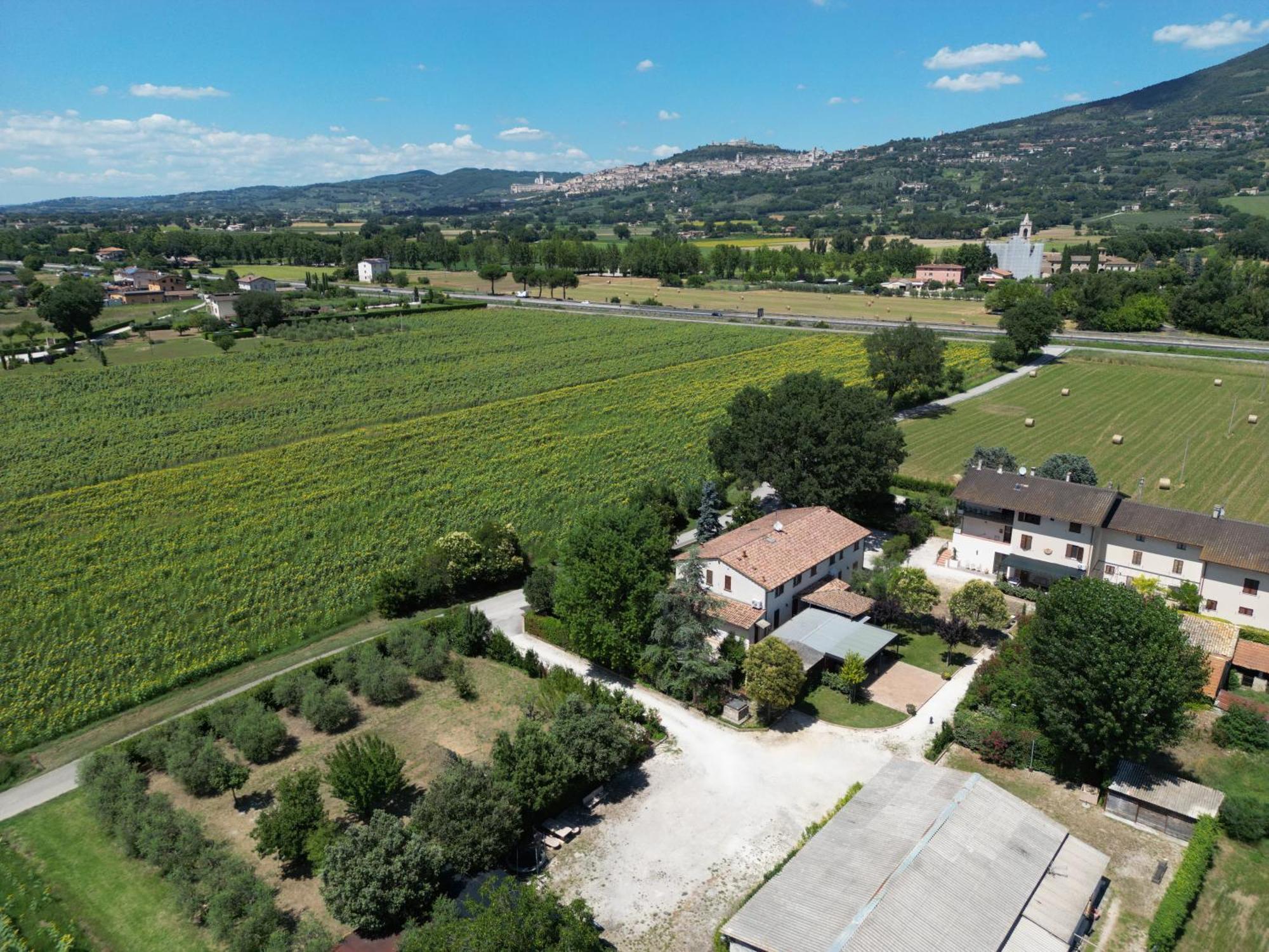ريفيوتورتو Il Quercione Agriturismo المظهر الخارجي الصورة